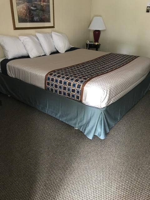 Holiday House Motel Hillsdale Bagian luar foto